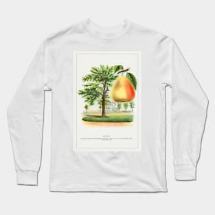 Seckel pear lithograph (1900) Long Sleeve T-Shirt